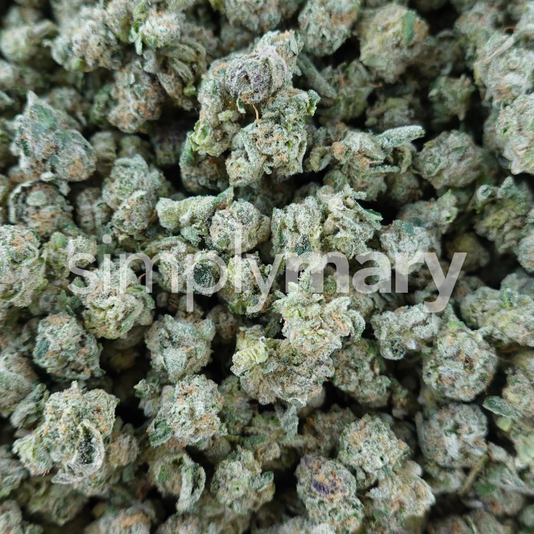 Alien Cookies Smalls - Image 2