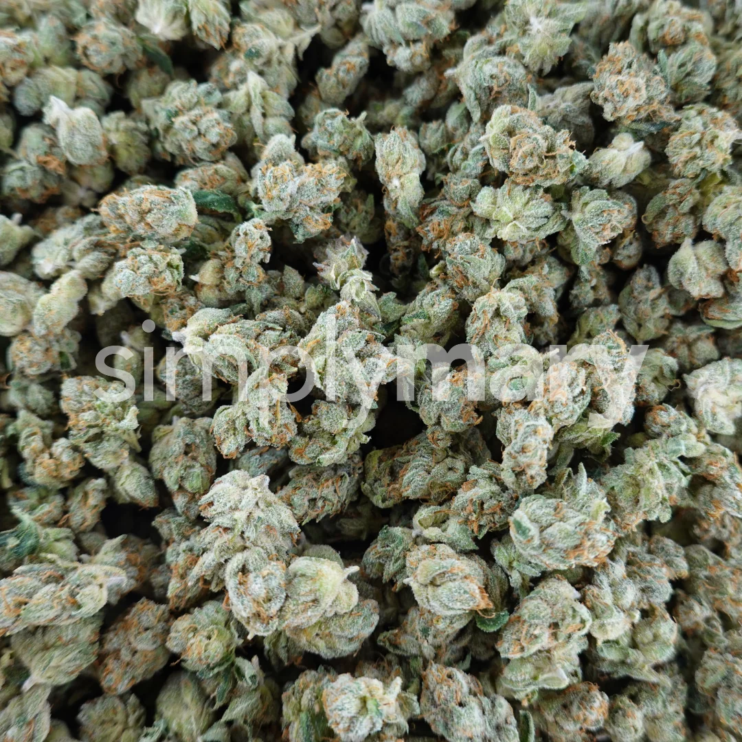 Alien OG Smalls - Image 2