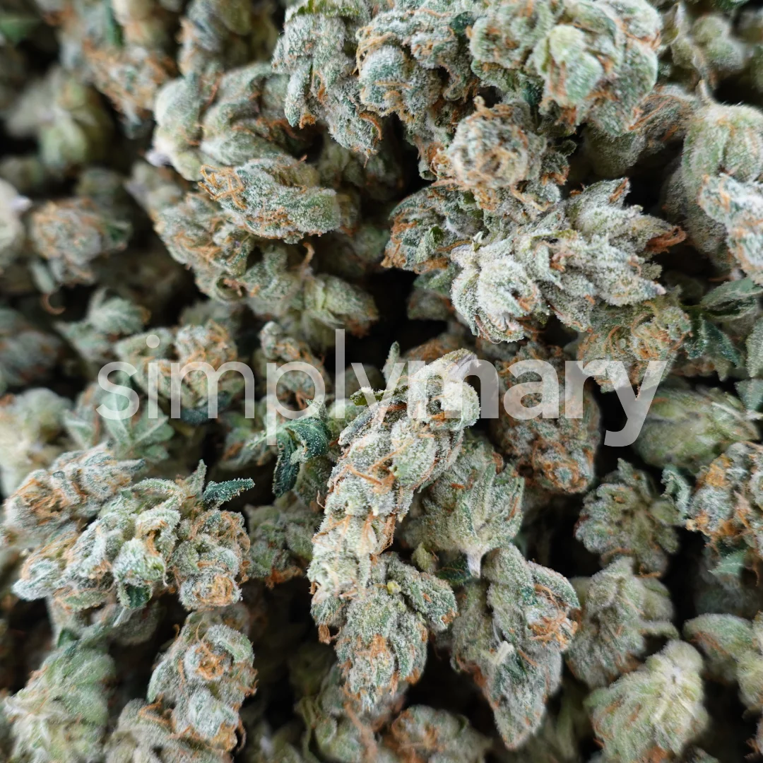 Alien OG Smalls - Image 3