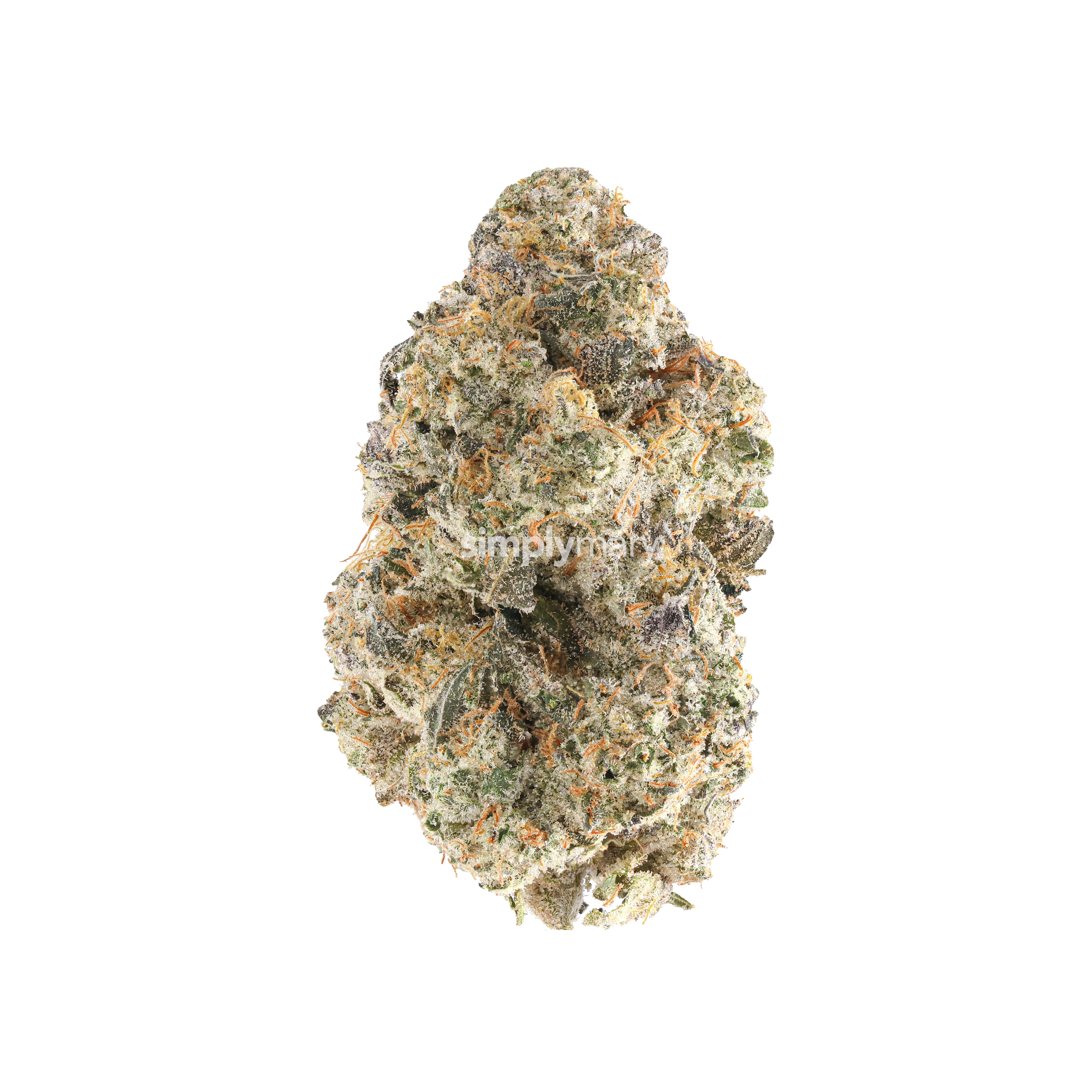 Animal Cookies