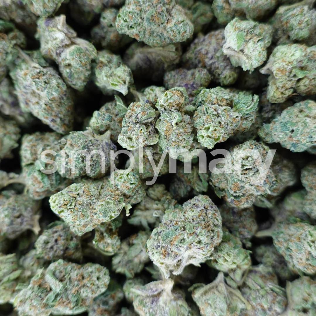 Area 51 Smalls - Image 3