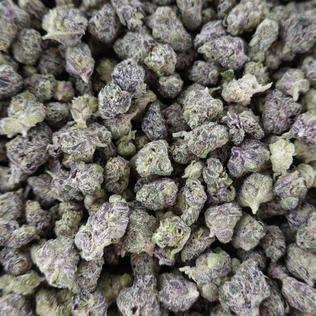 Black Cherry Gelato Smalls - Image 3