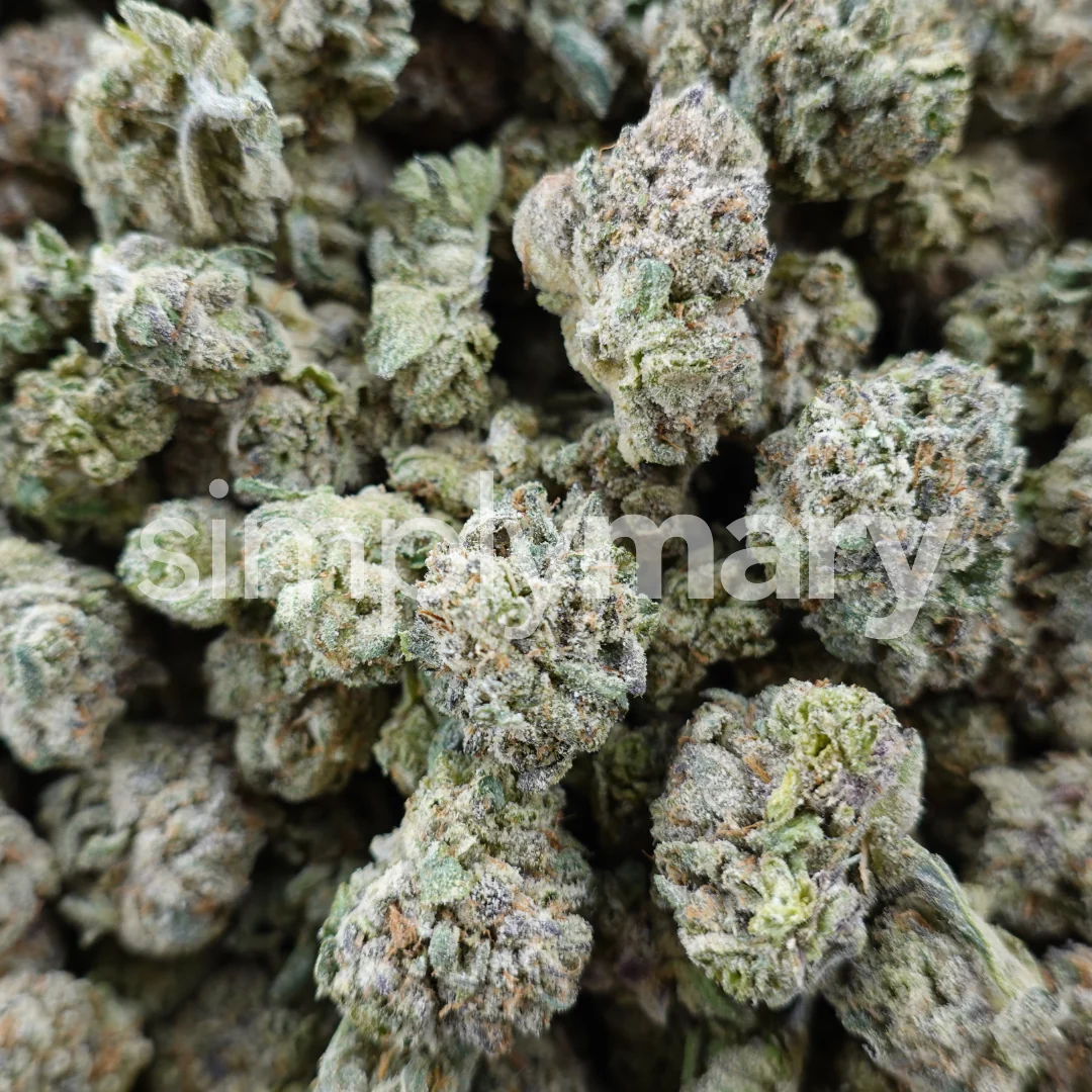 Black Cherry Gelato Smalls - Image 3
