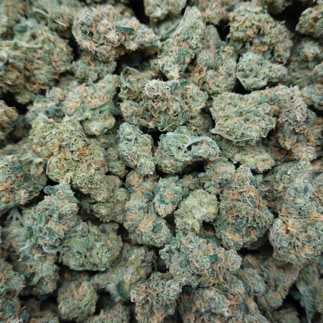 Blue Dream Mediums - Image 3