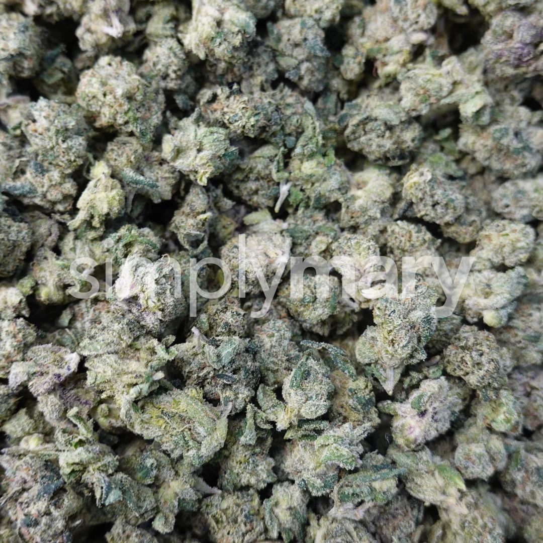 Blue Jam Smalls - Image 2