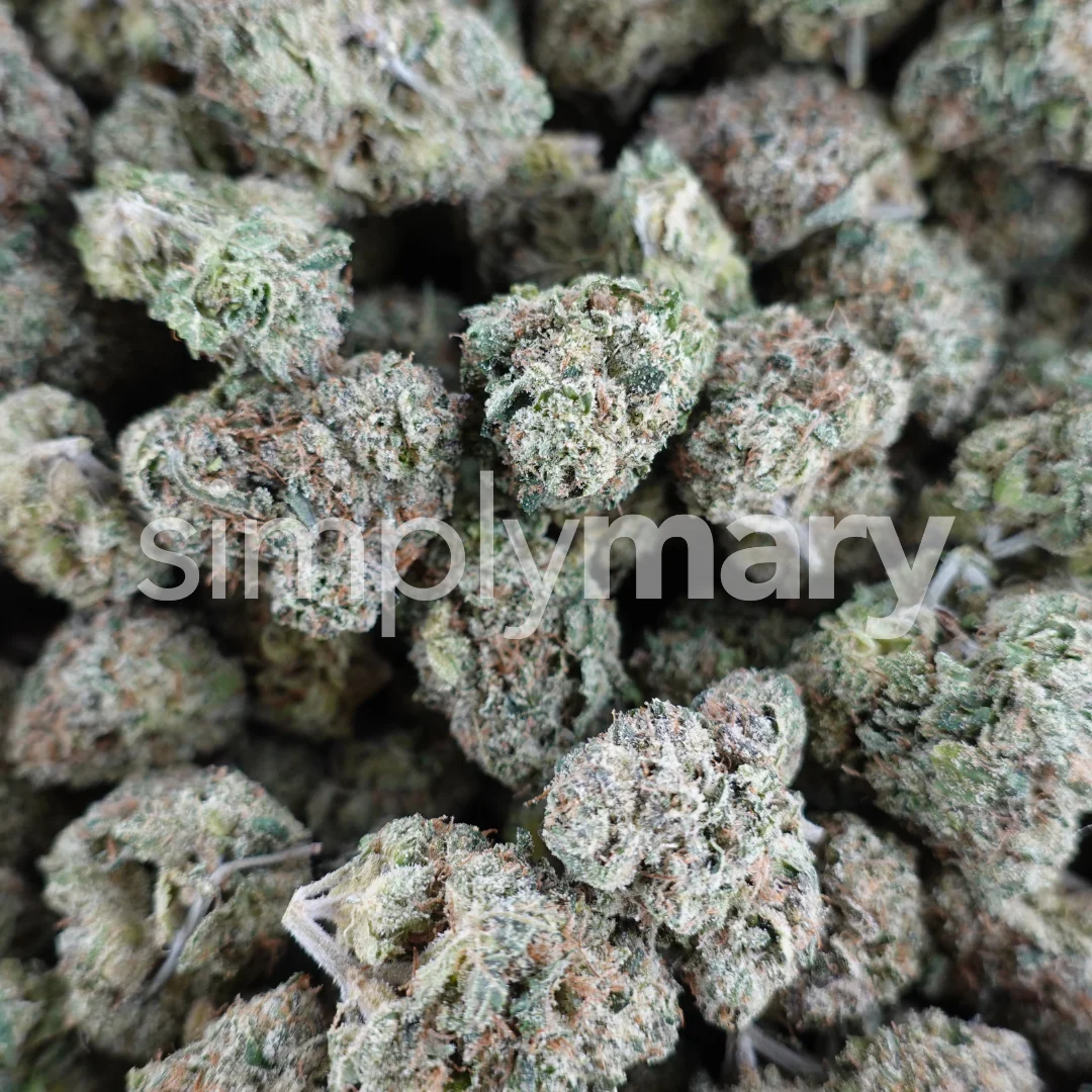 Bubblegum Mediums - Image 3