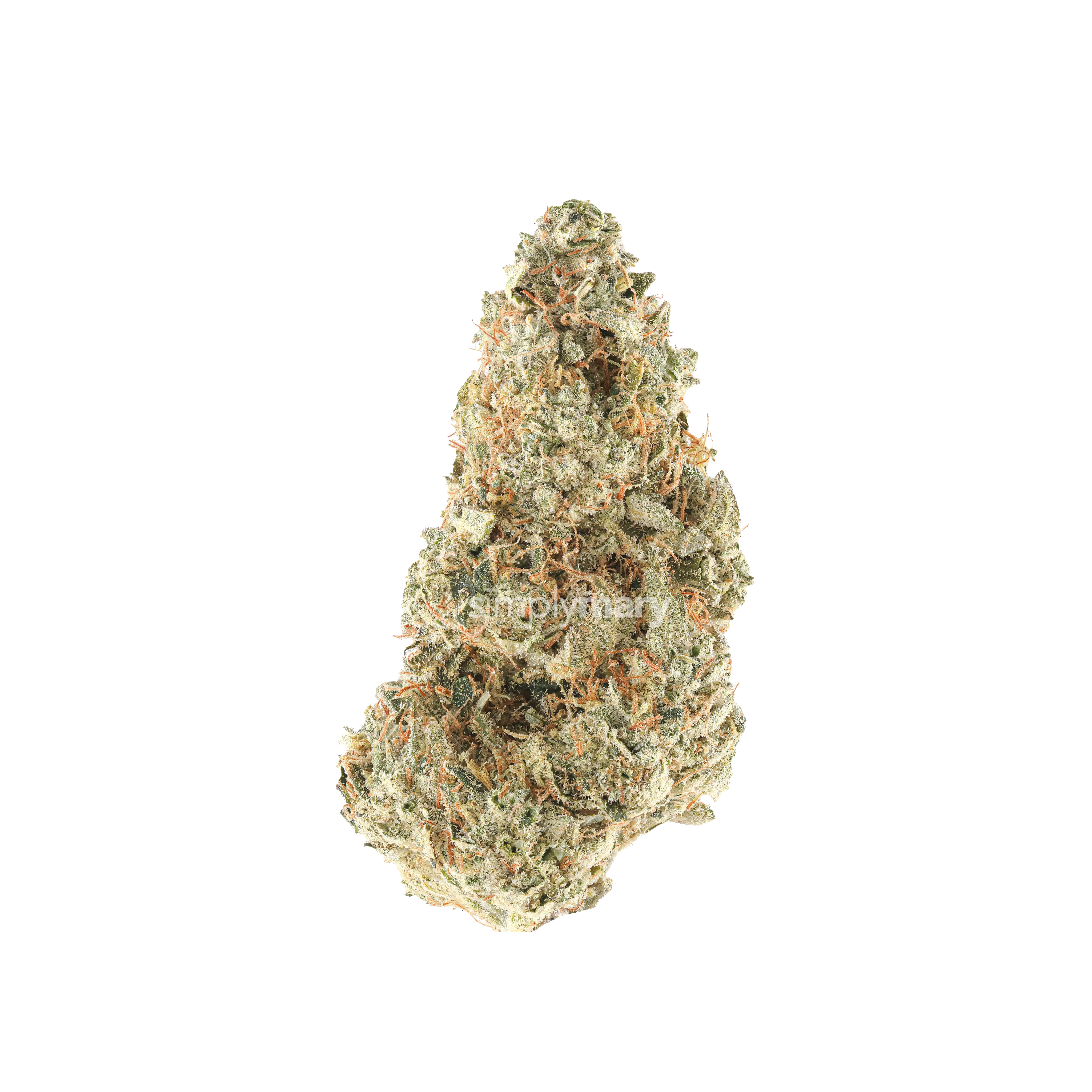 C4