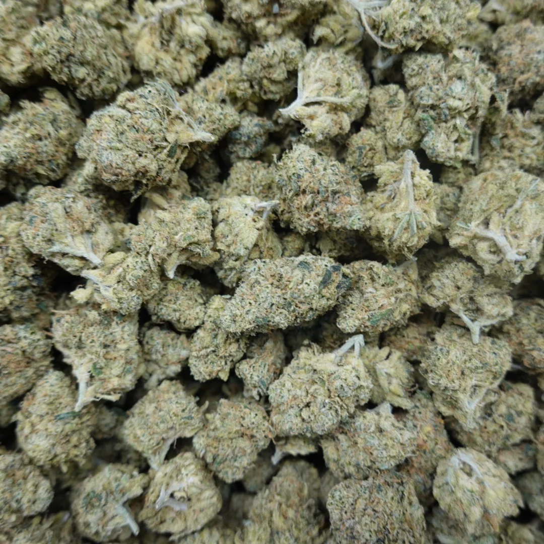 C4 Mediums - Image 3