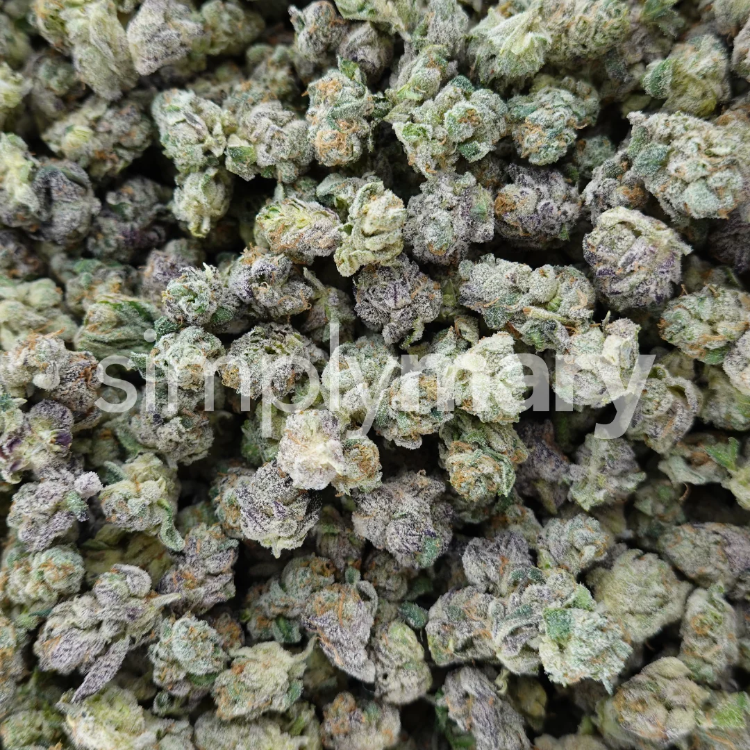 Cap Junky x Purple Push Pop Smalls - Image 2