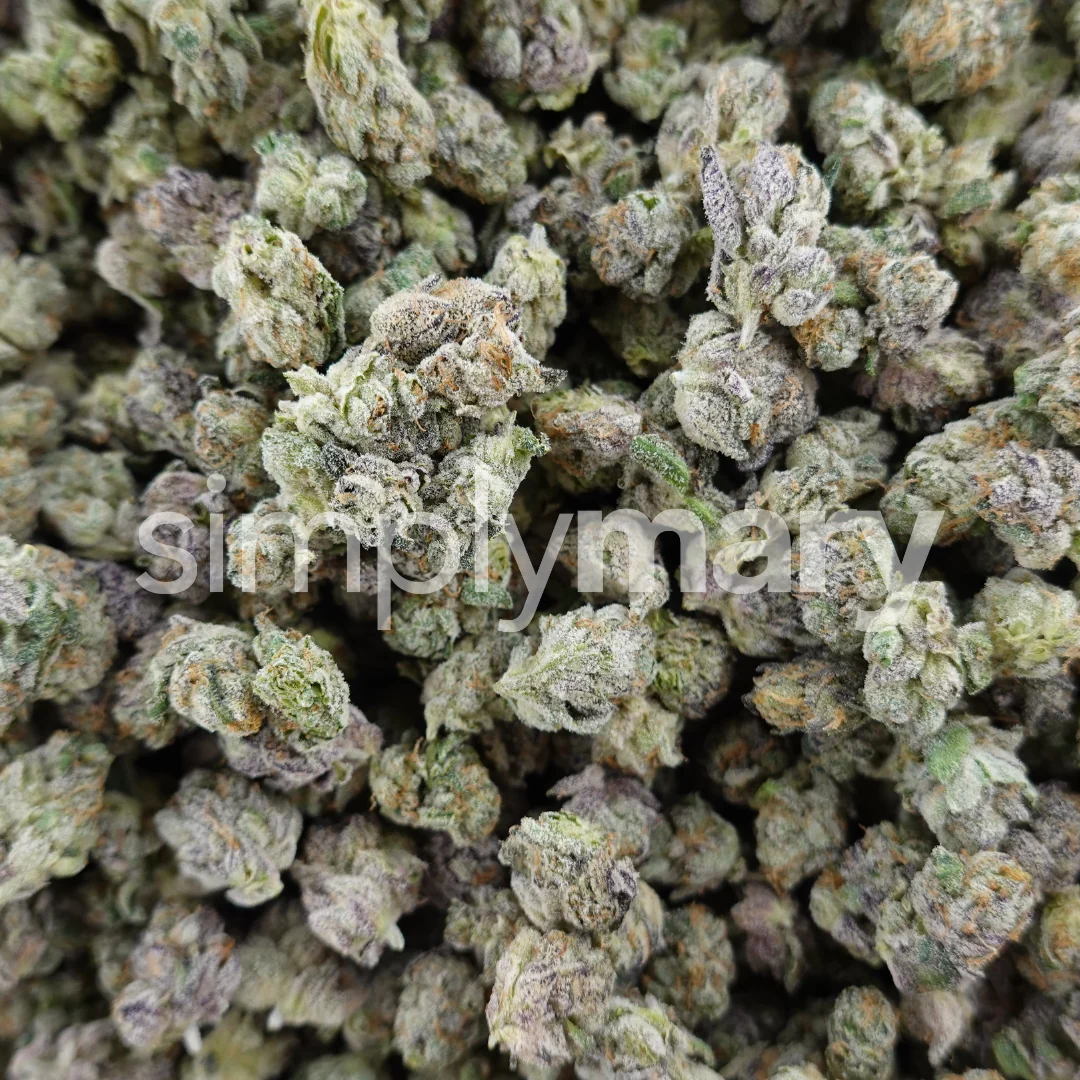 Cap Junky x Purple Push Pop Smalls - Image 3
