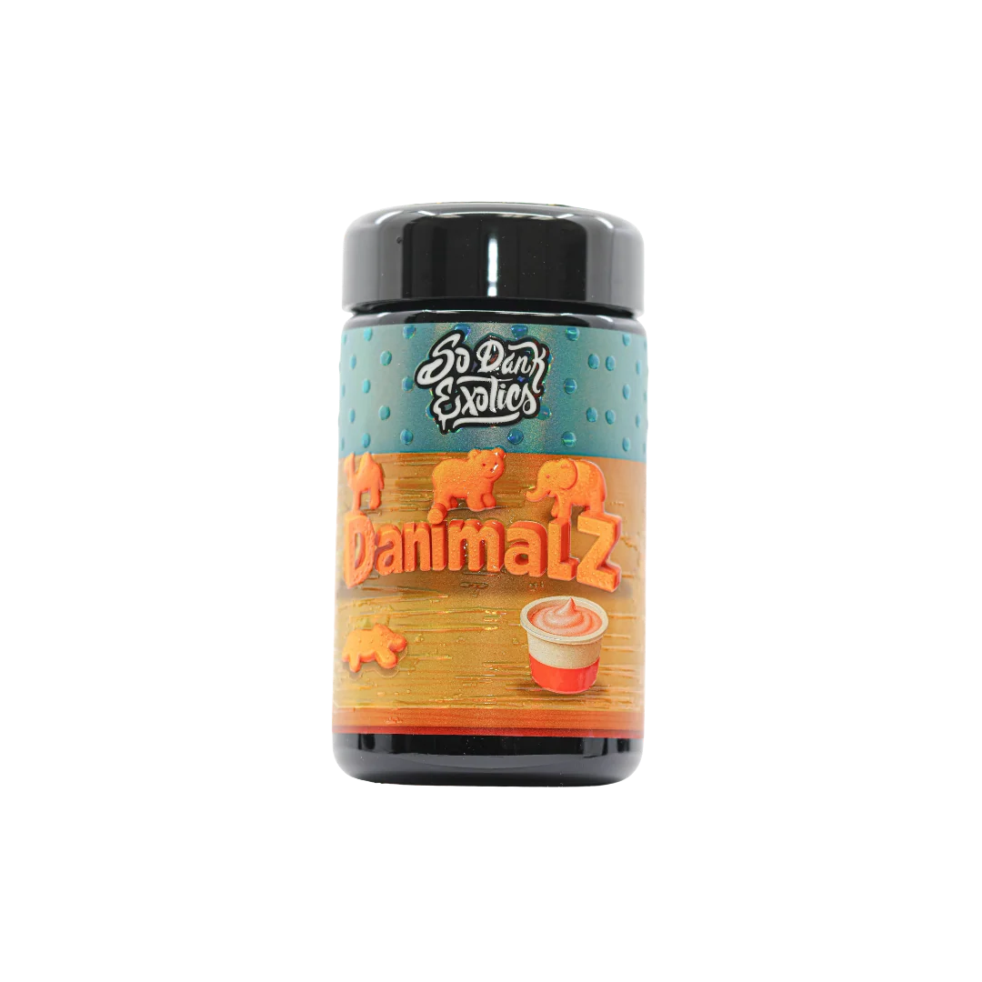 Danimalz - Image 2