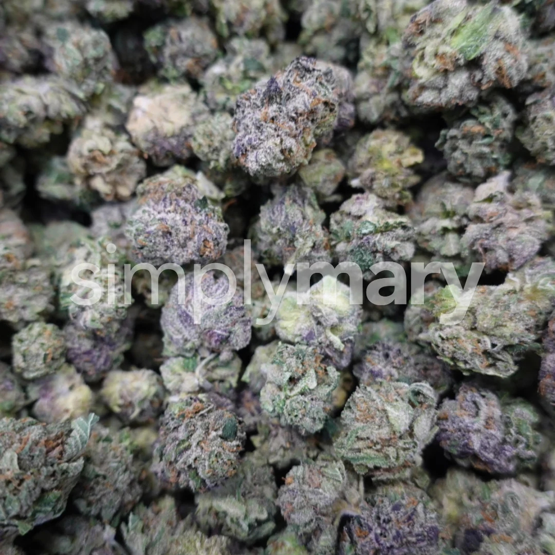 Gelato 33 Smalls - Image 2