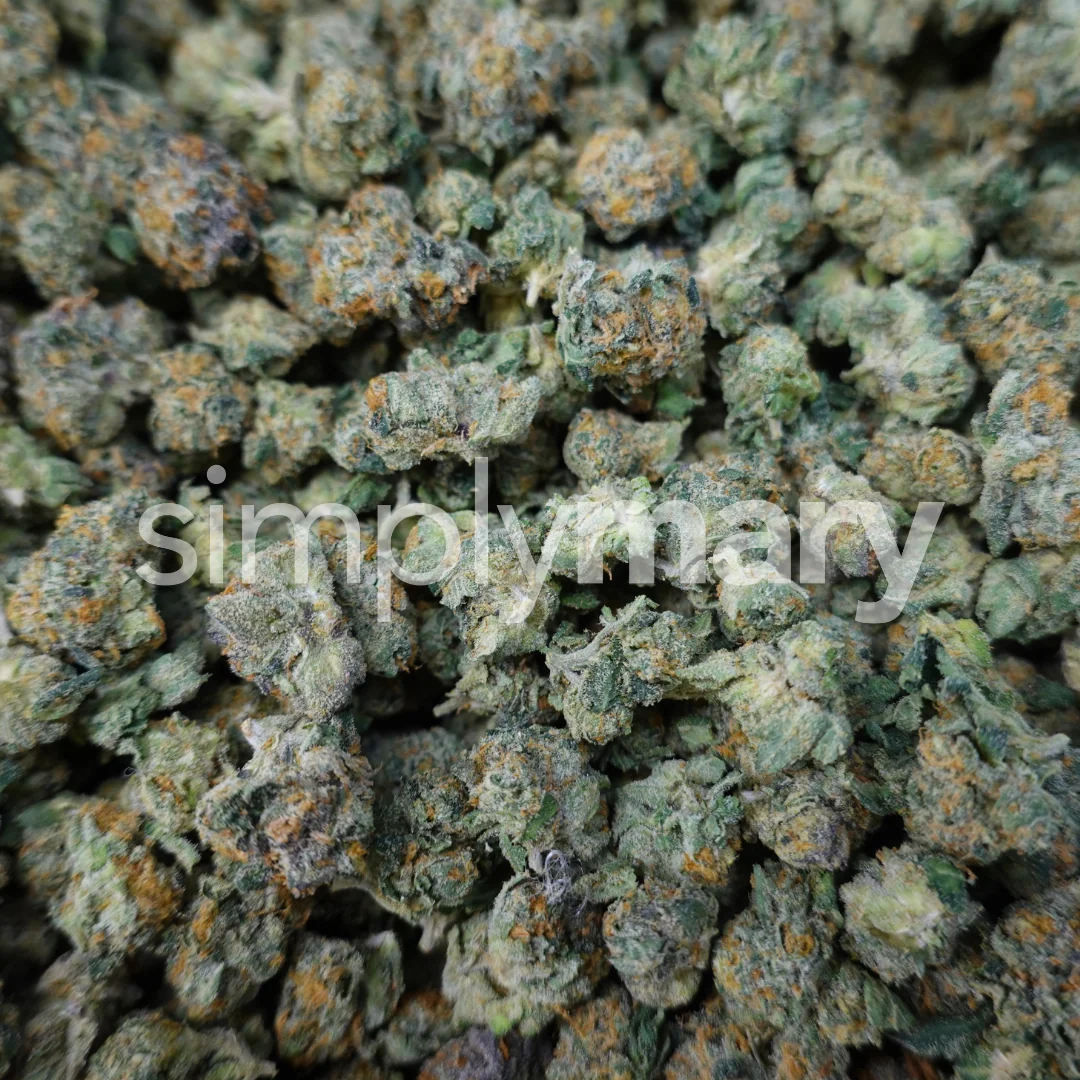 Gelato 41 Smalls - Image 3