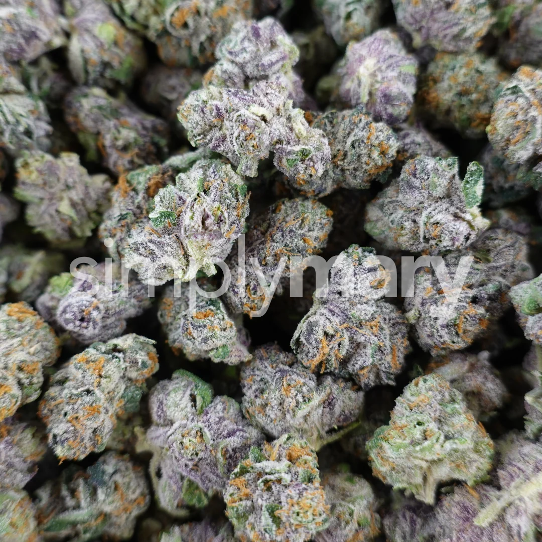 Gelato 41 Smalls - Image 3