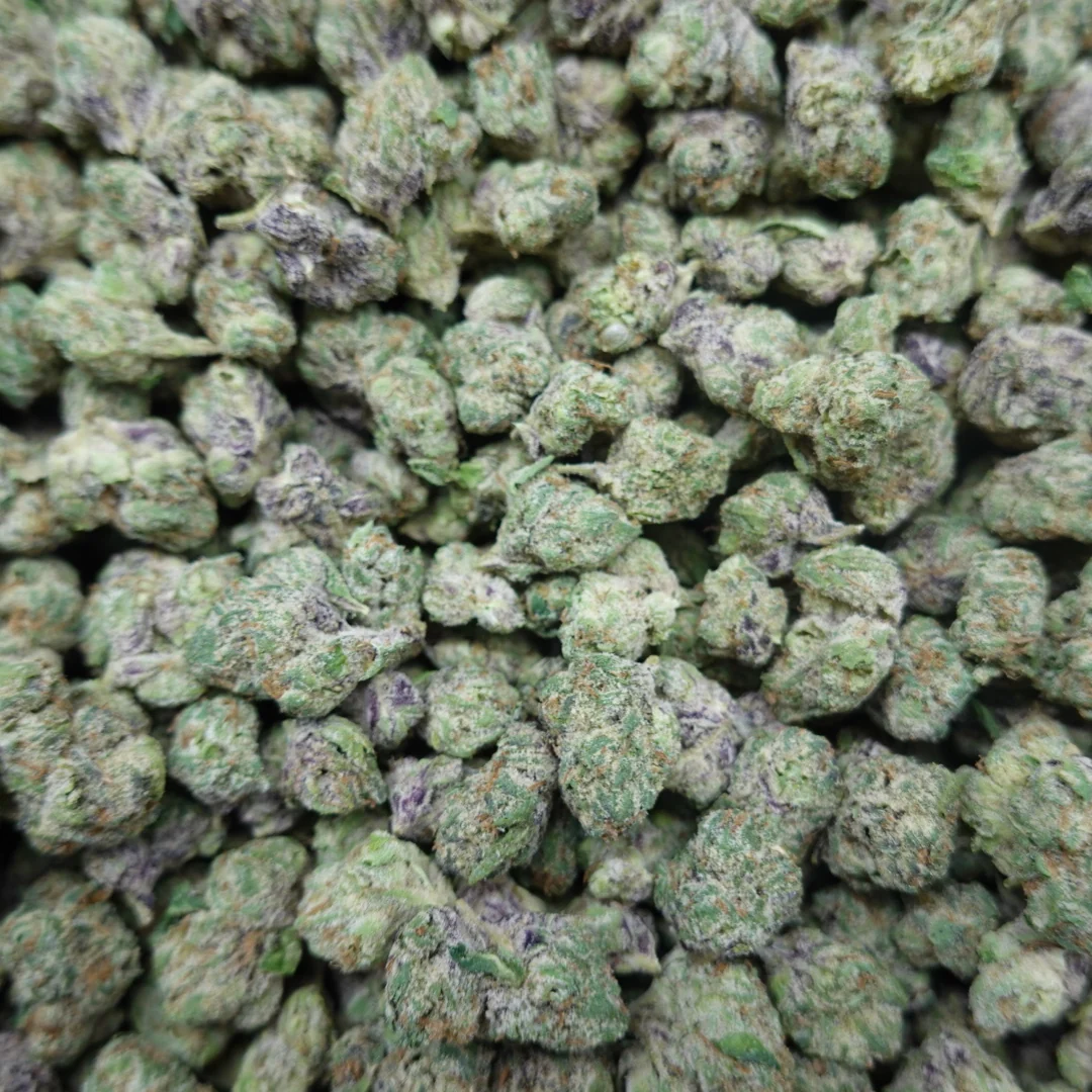 Gelato Candy Smalls - Image 2