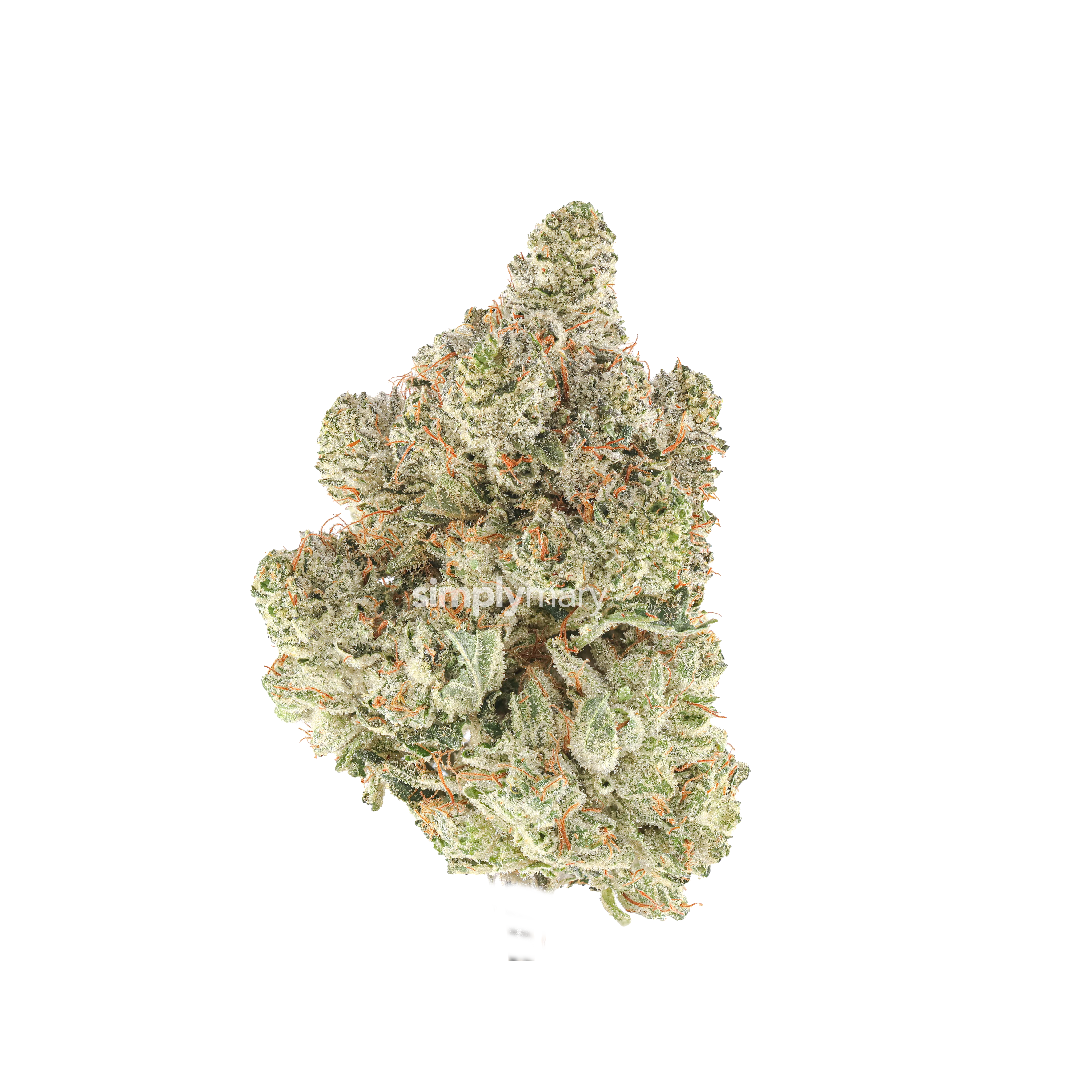 Gorilla Glue #4