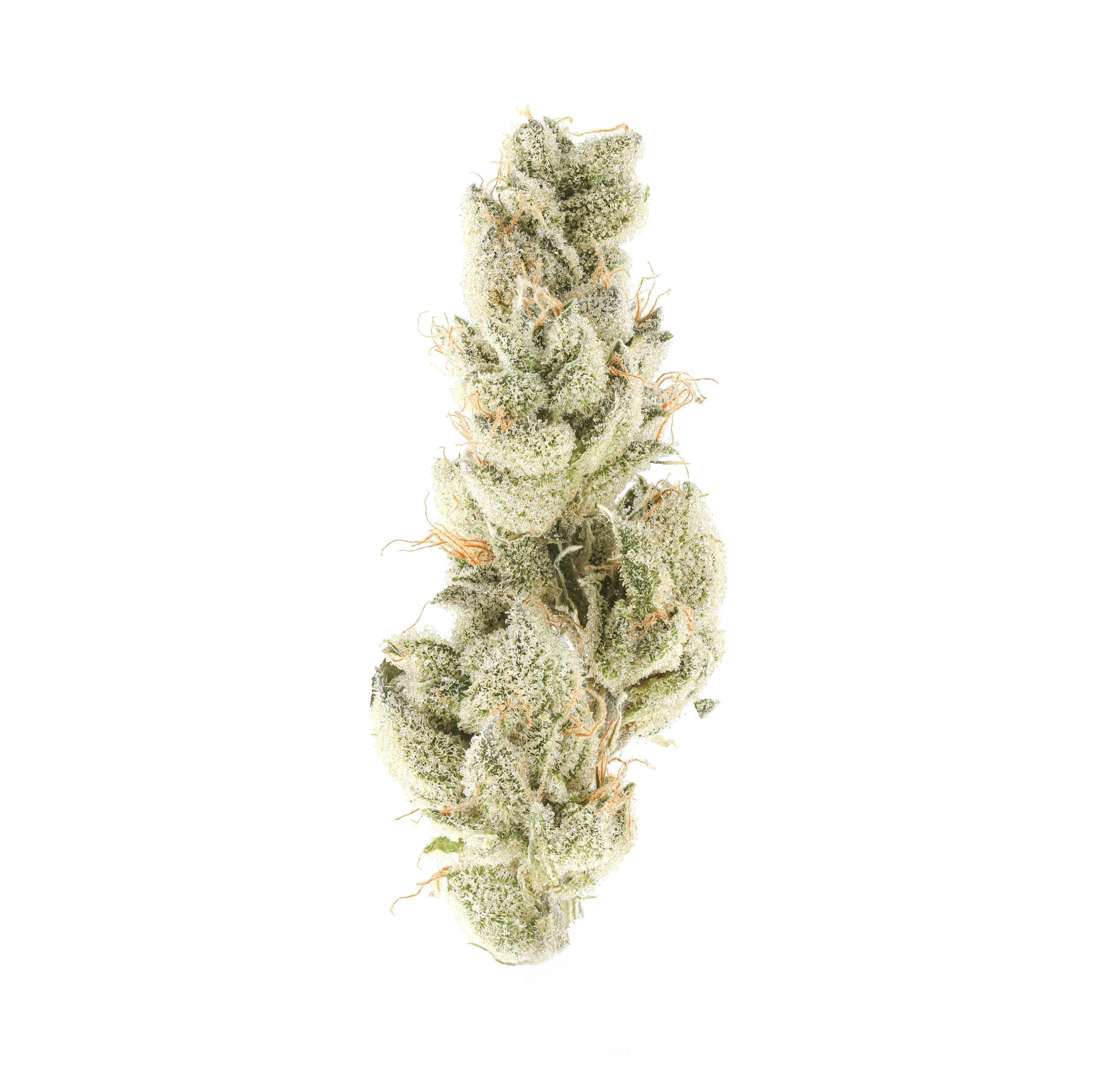 Grandma Cookies