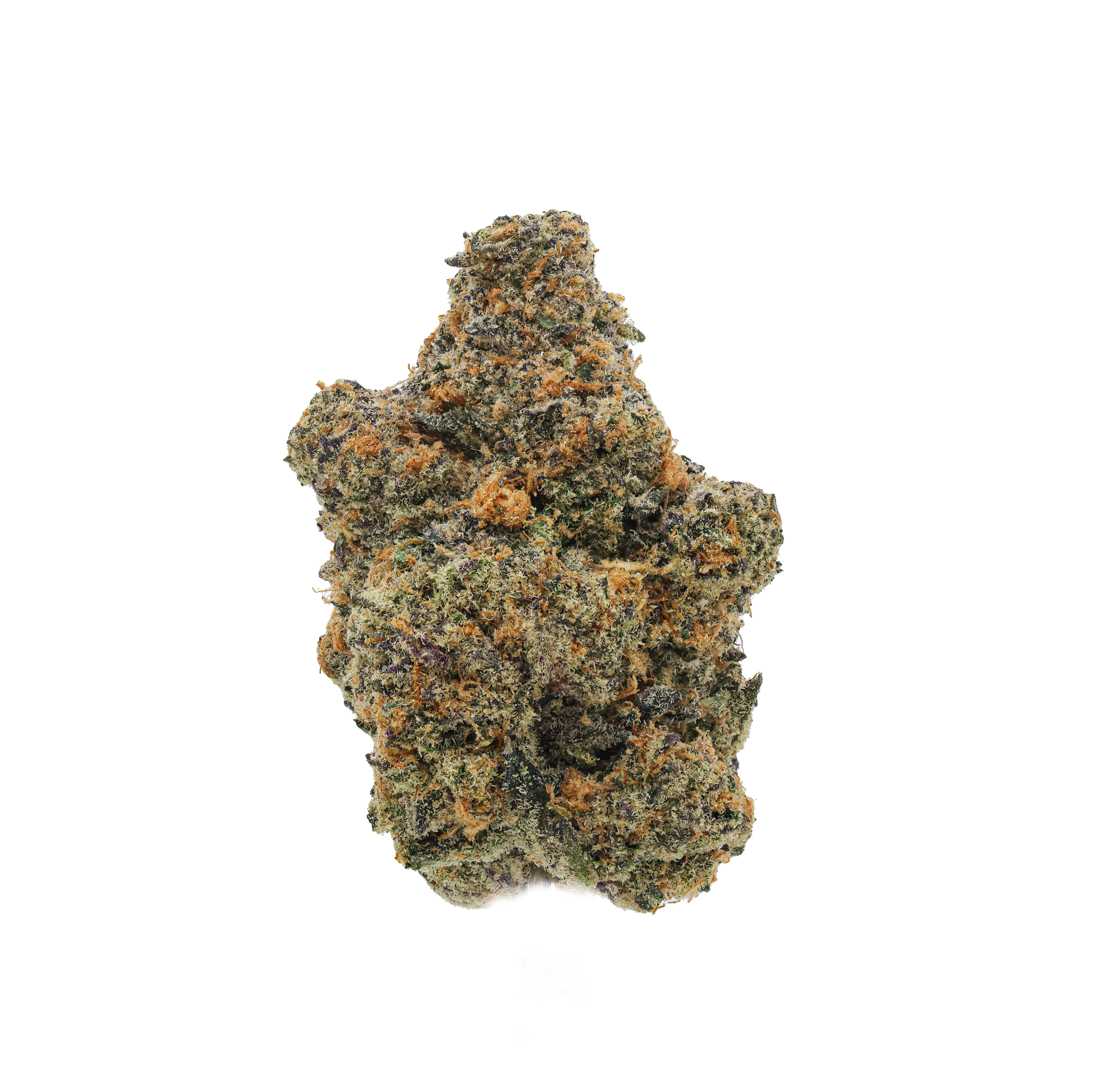 Grease Monkey
