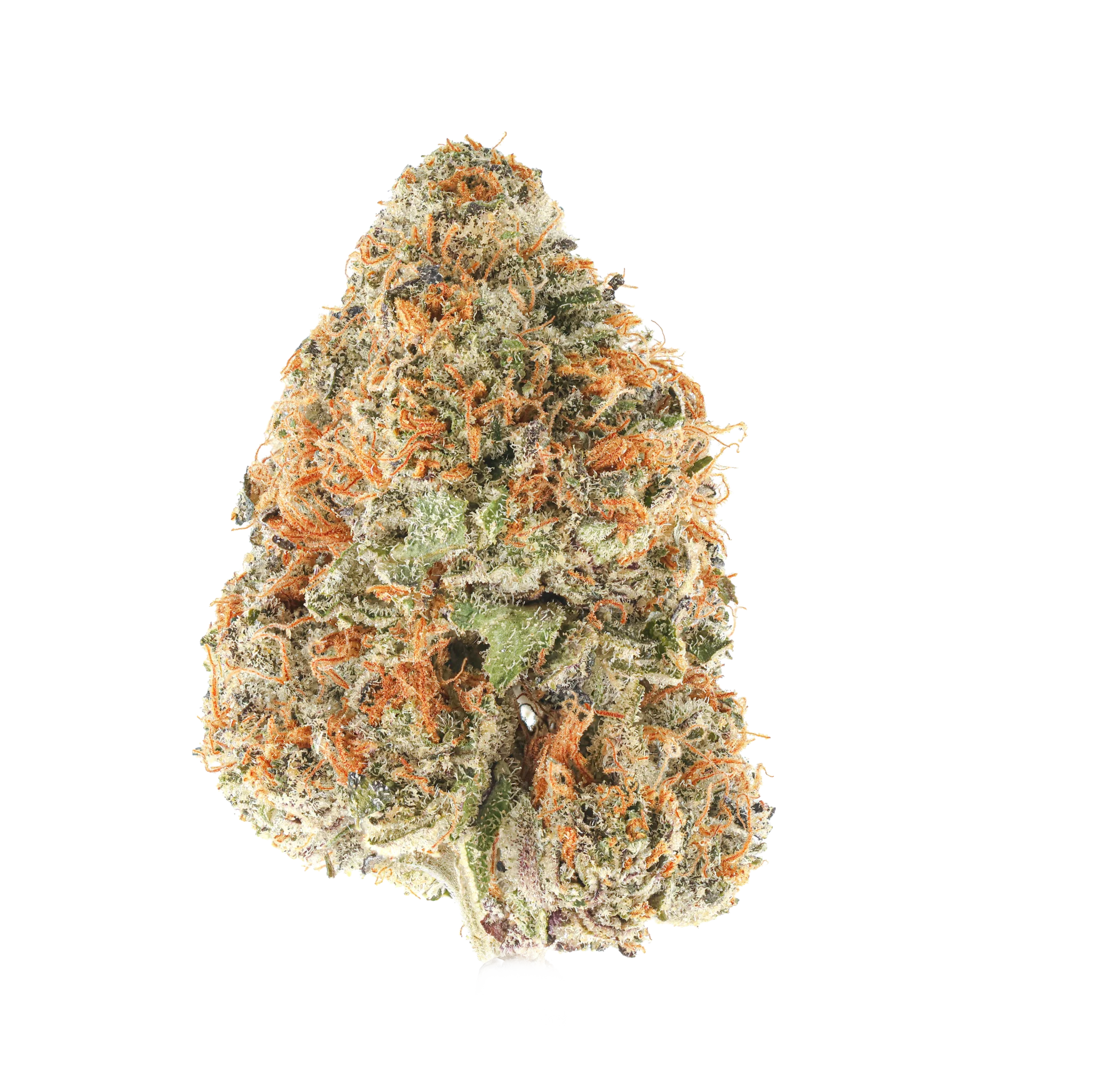 Green Dawg