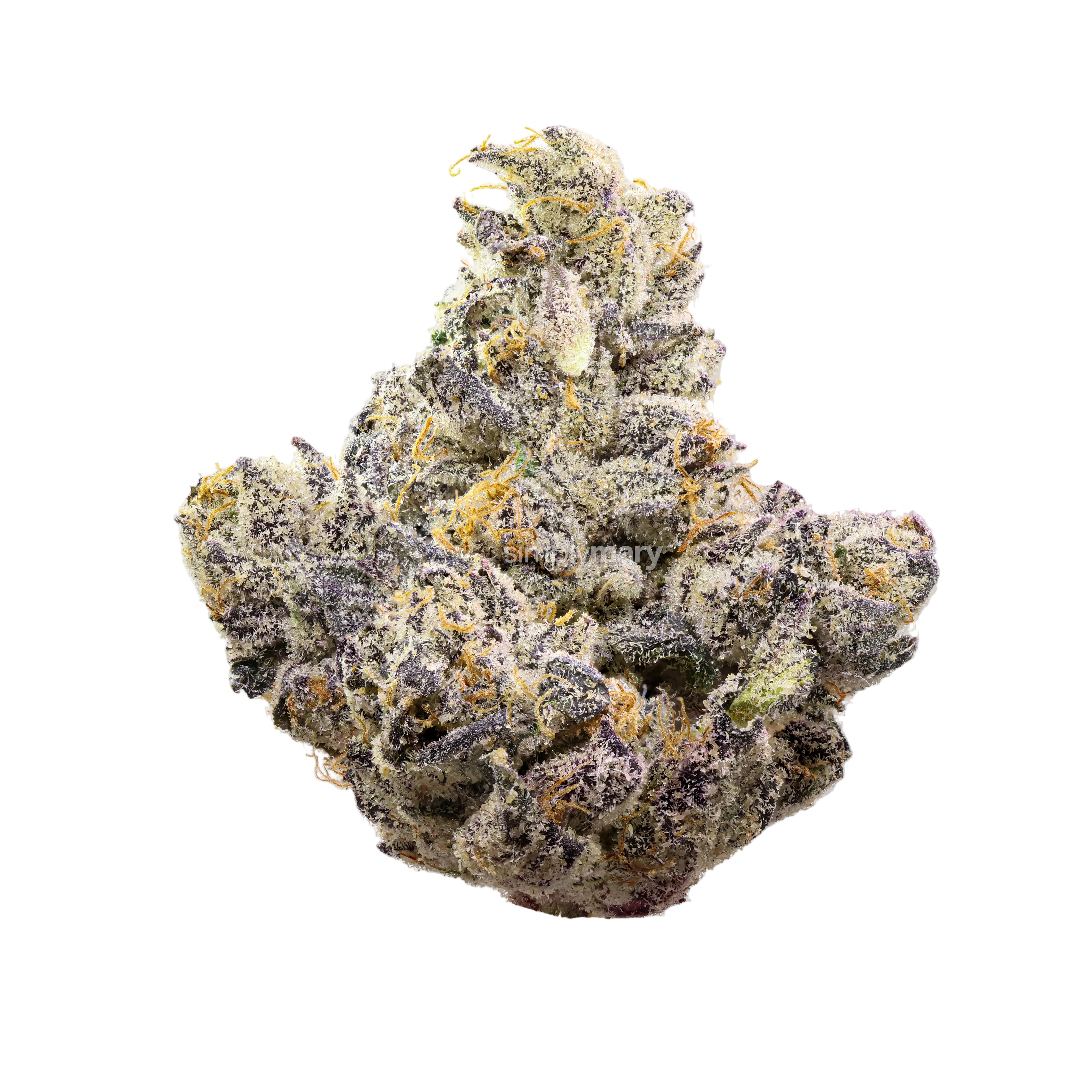 Guala Berry