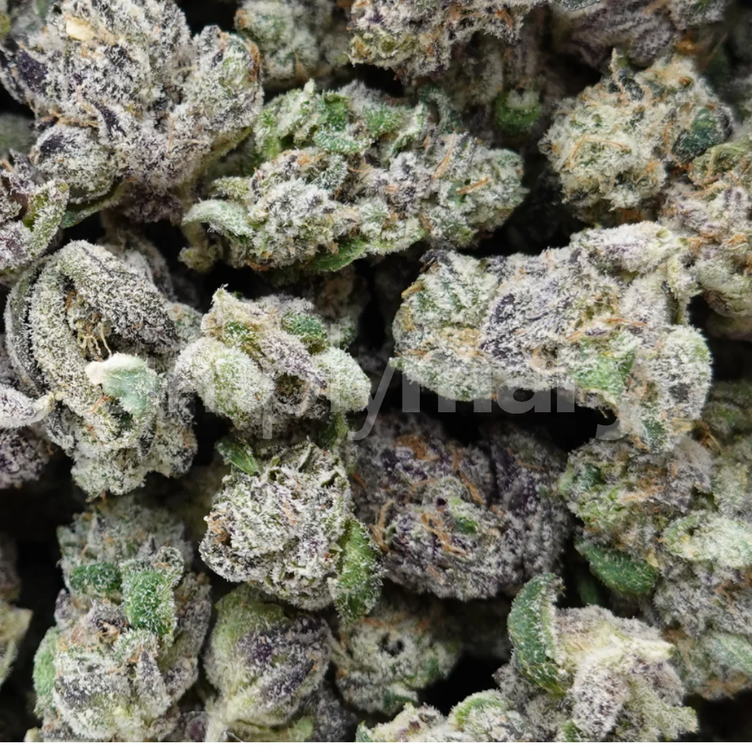 Guala Berry Smalls - Image 3