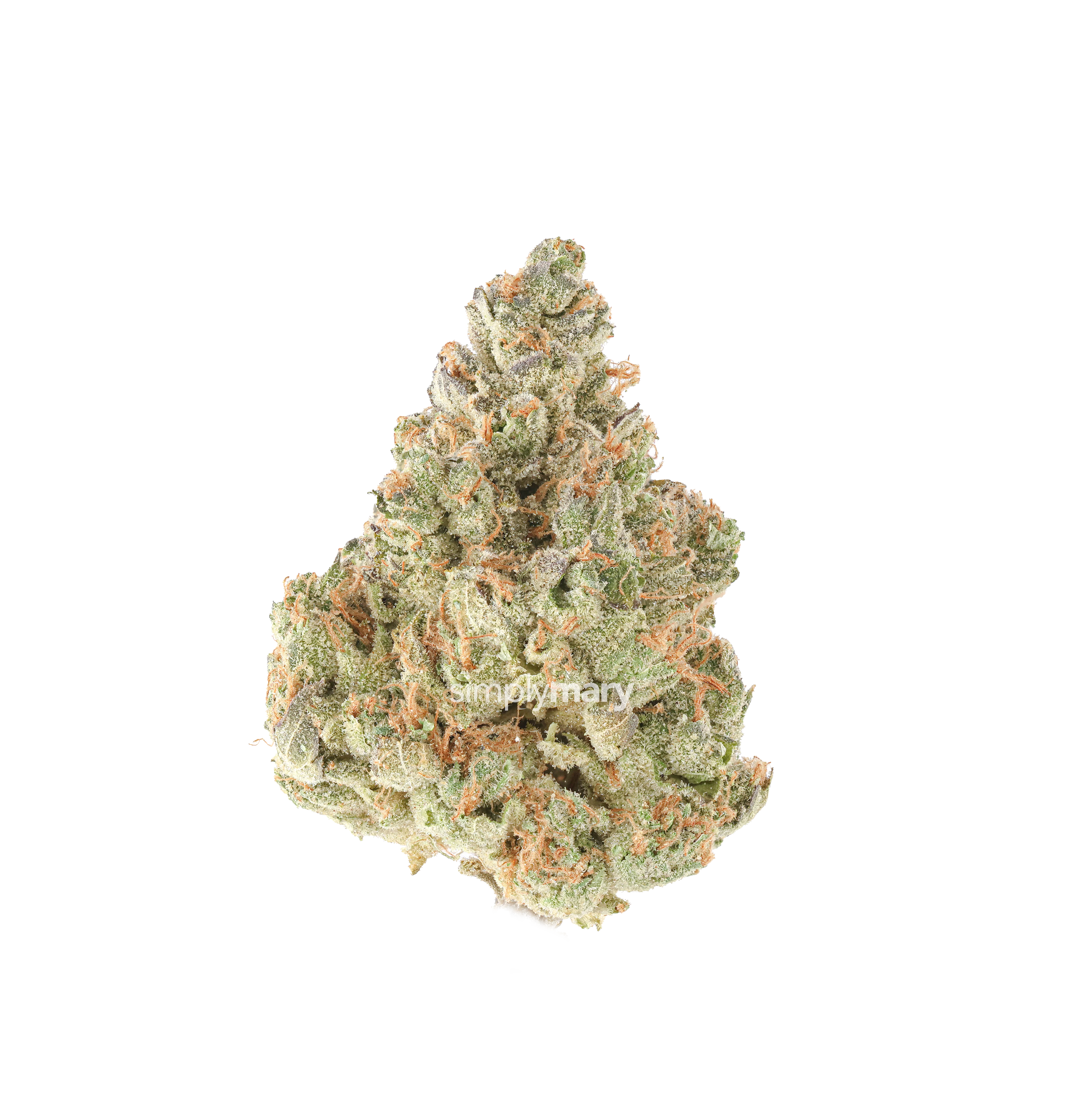Guava