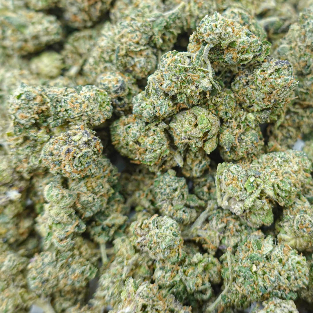 Guz Treatz Shmediums - Image 2