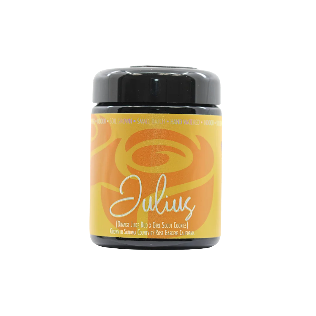 Julius - Image 2