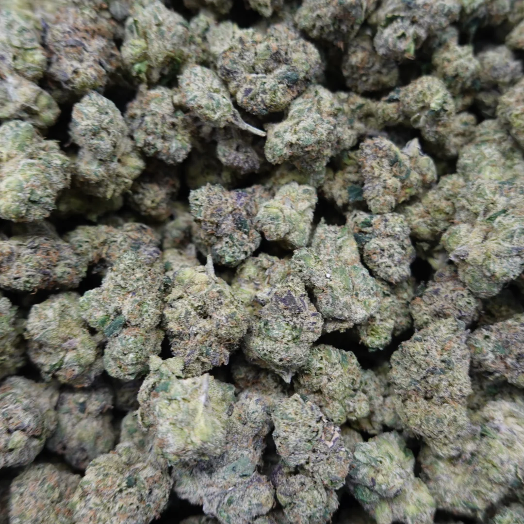 K1 Mediums - Image 2