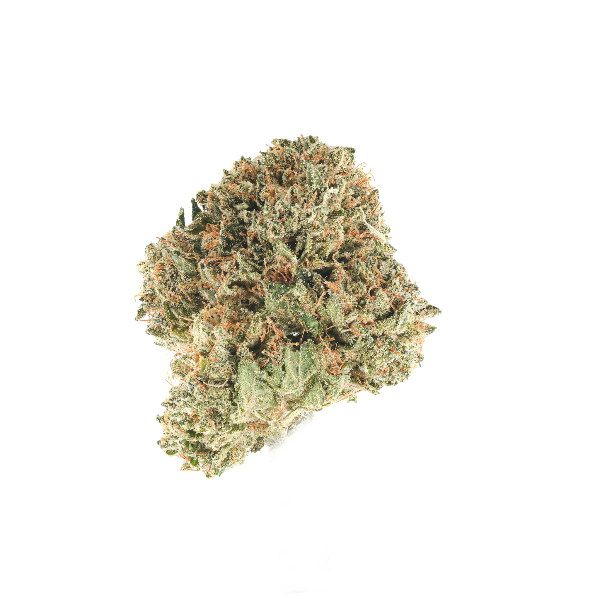 Kosher Kush