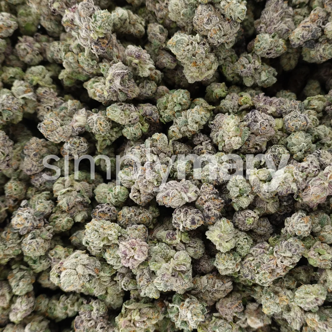 LA Pop Rock x Purple Push Pop Smalls - Image 3