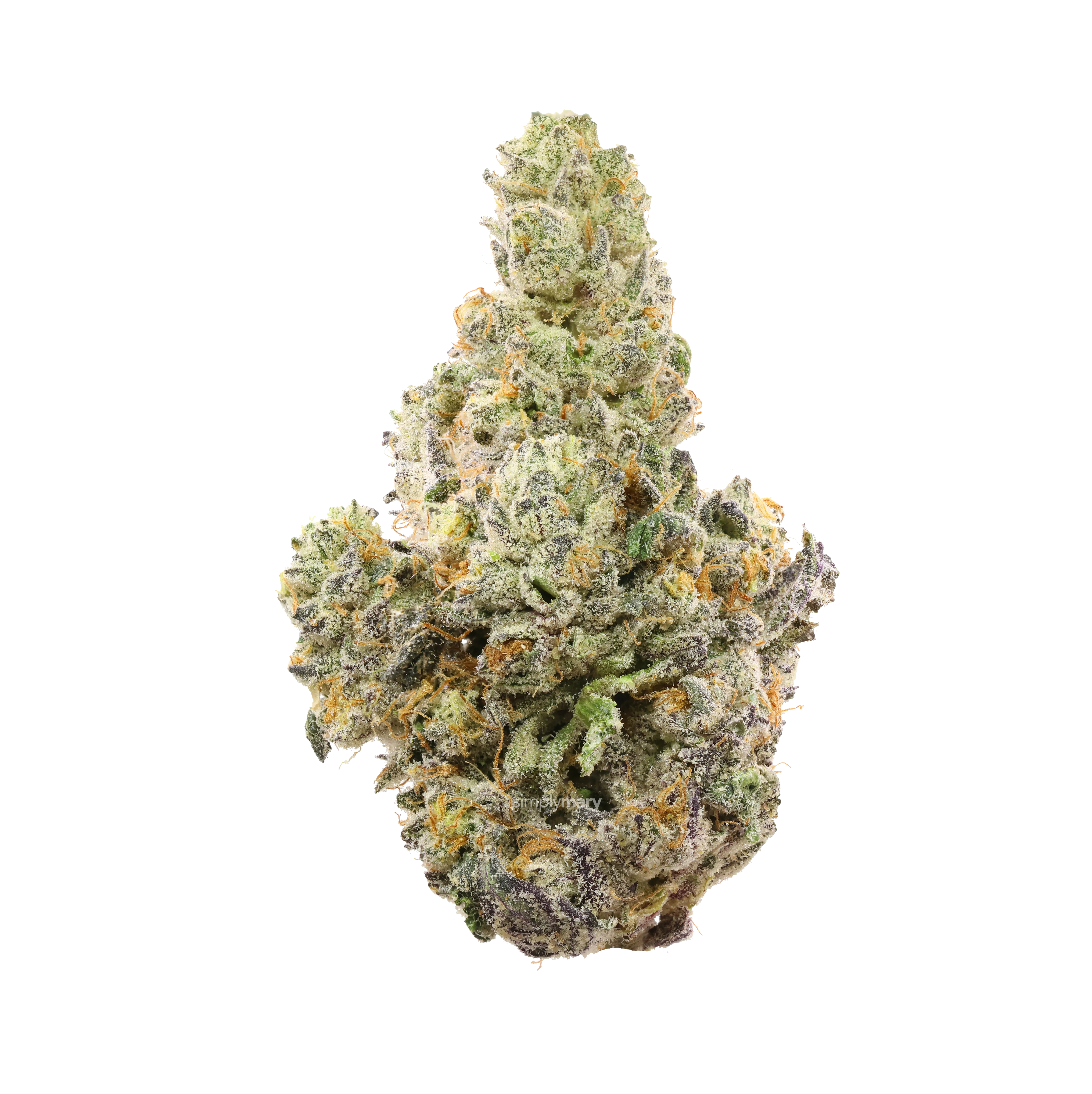 LA Pop Rocks