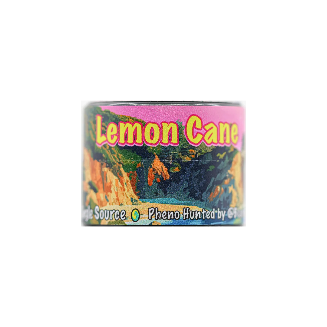 Lemon Cane Rosin - Image 3