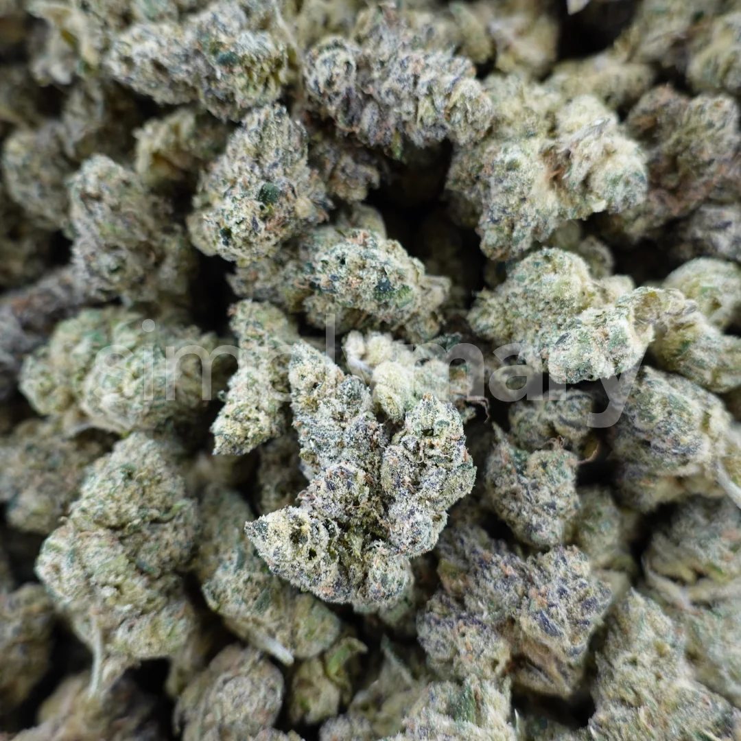 Lemon Cherry Burst Smalls - Image 2