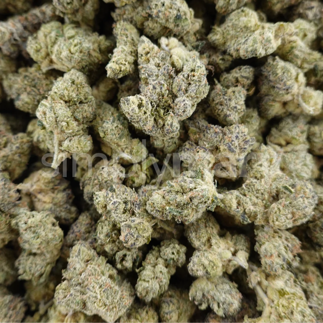 Lemon Cherry Burst Smalls - Image 3