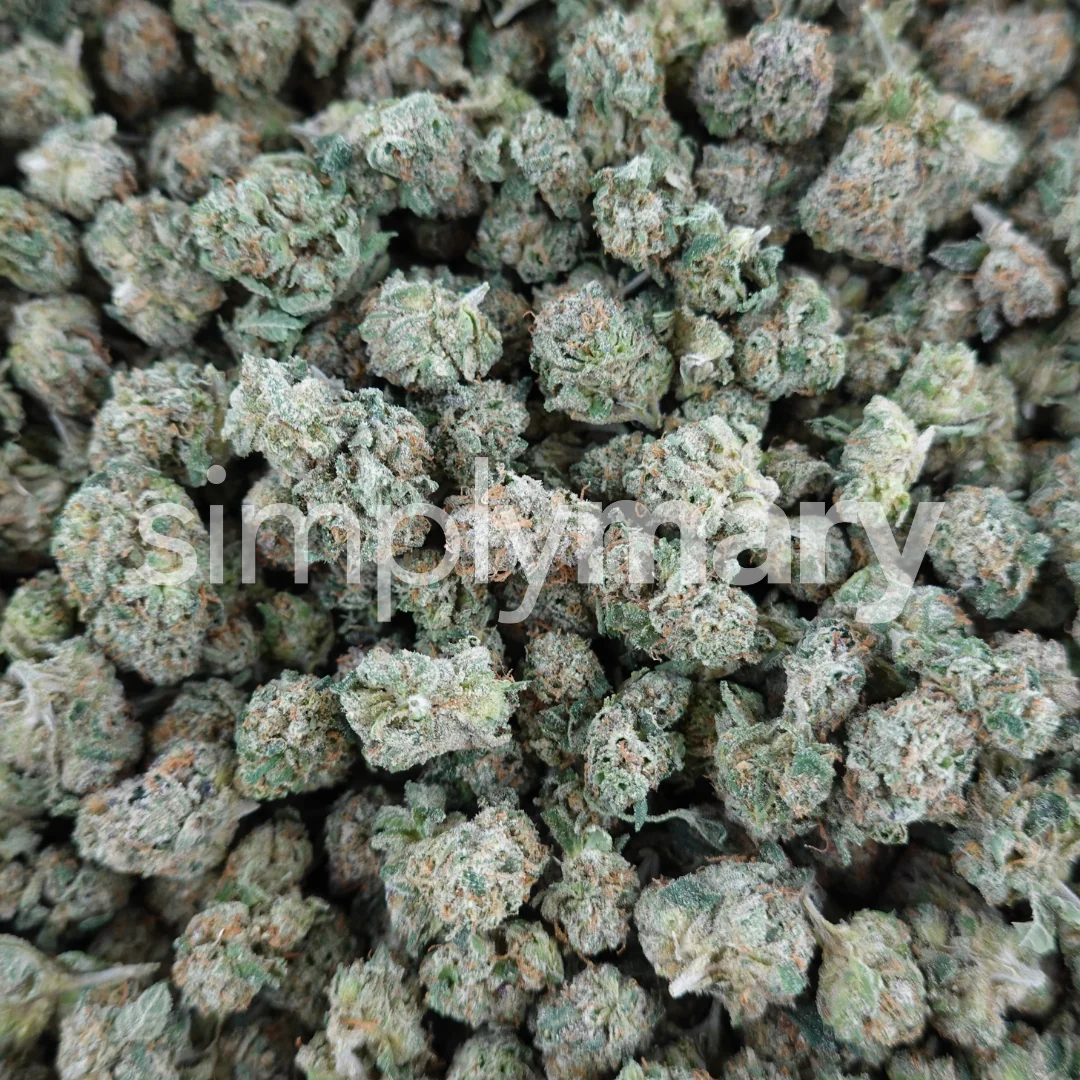 Lemon Cherry Gelato Smalls - Image 2