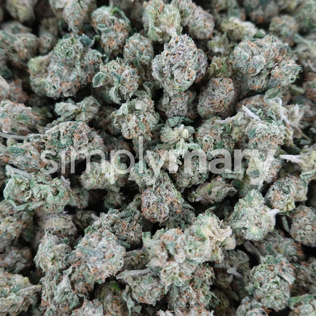 Lemon Cherry Gelato Smalls - Image 3