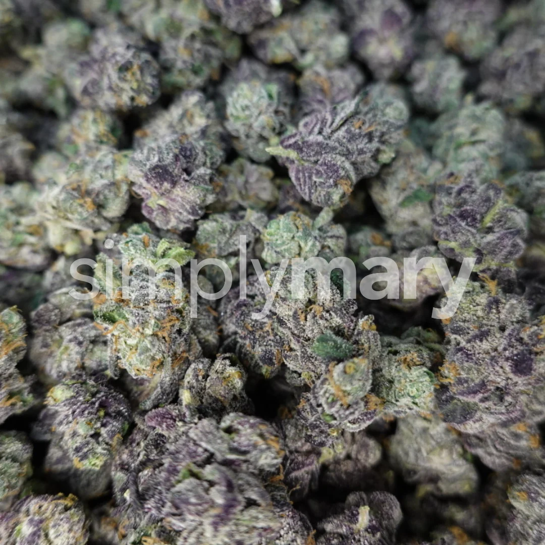 Lemon Cherry Sherbert Smalls - Image 3