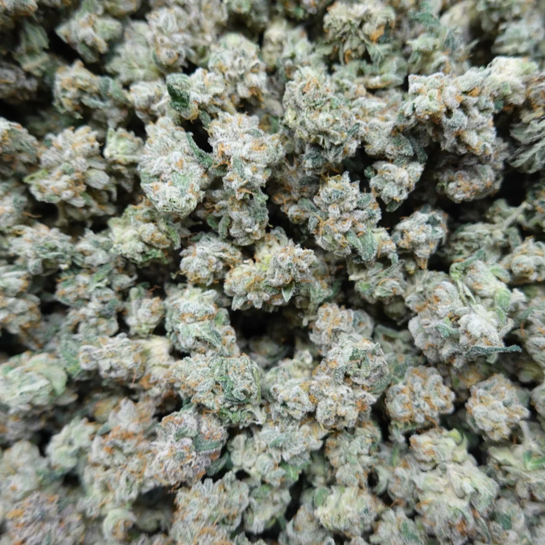 Lemon Drop Smalls - Image 2