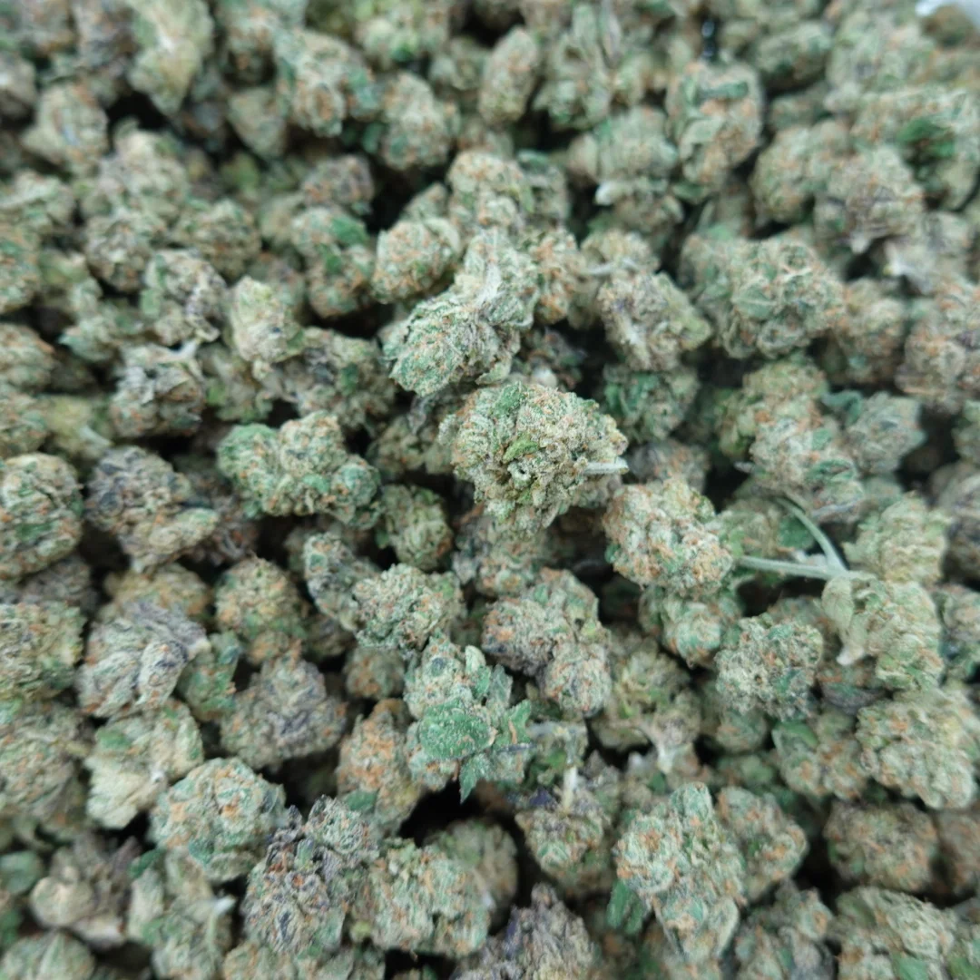 Lemon OZ Smalls - Image 2