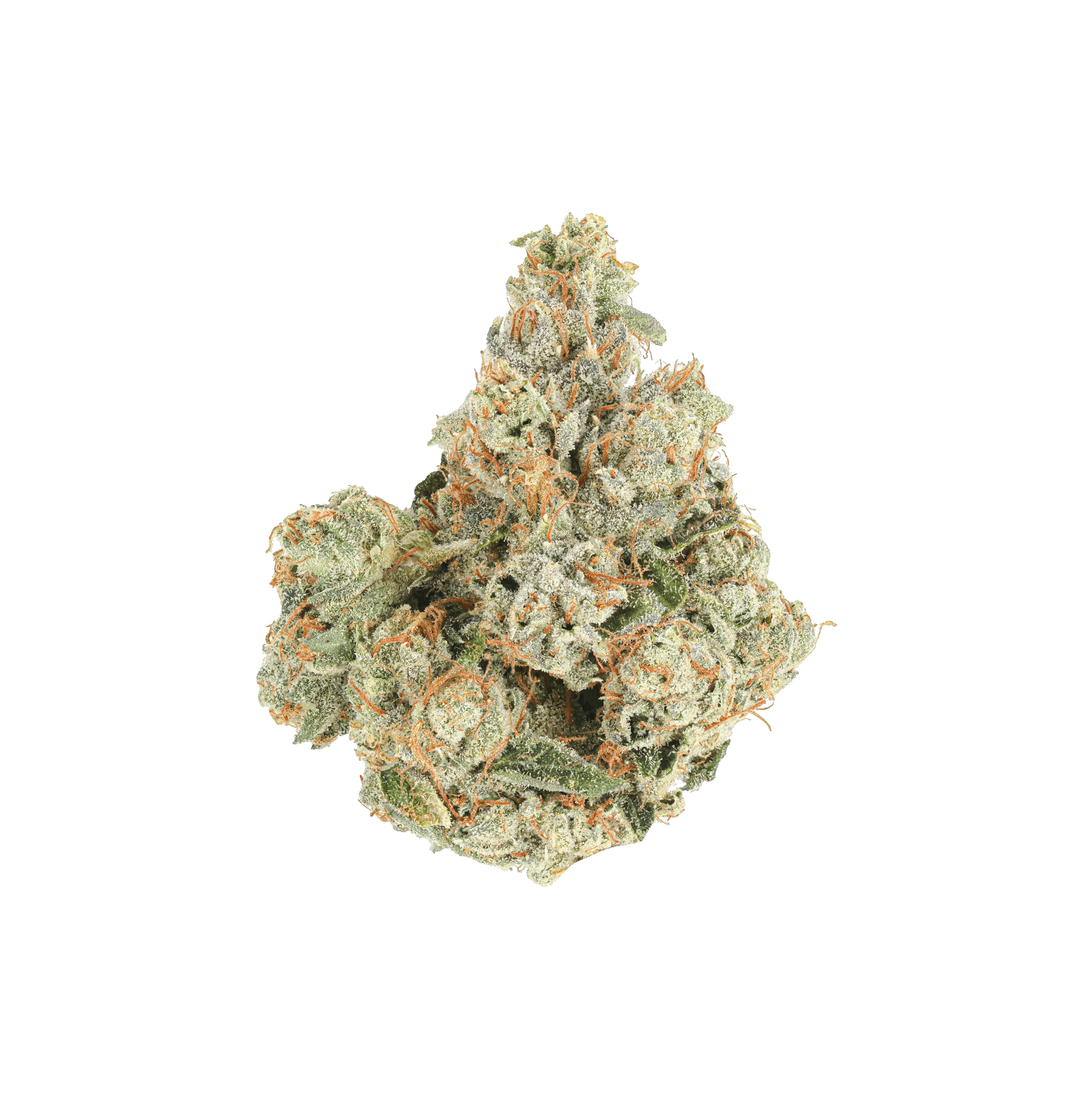 Maui Wowie