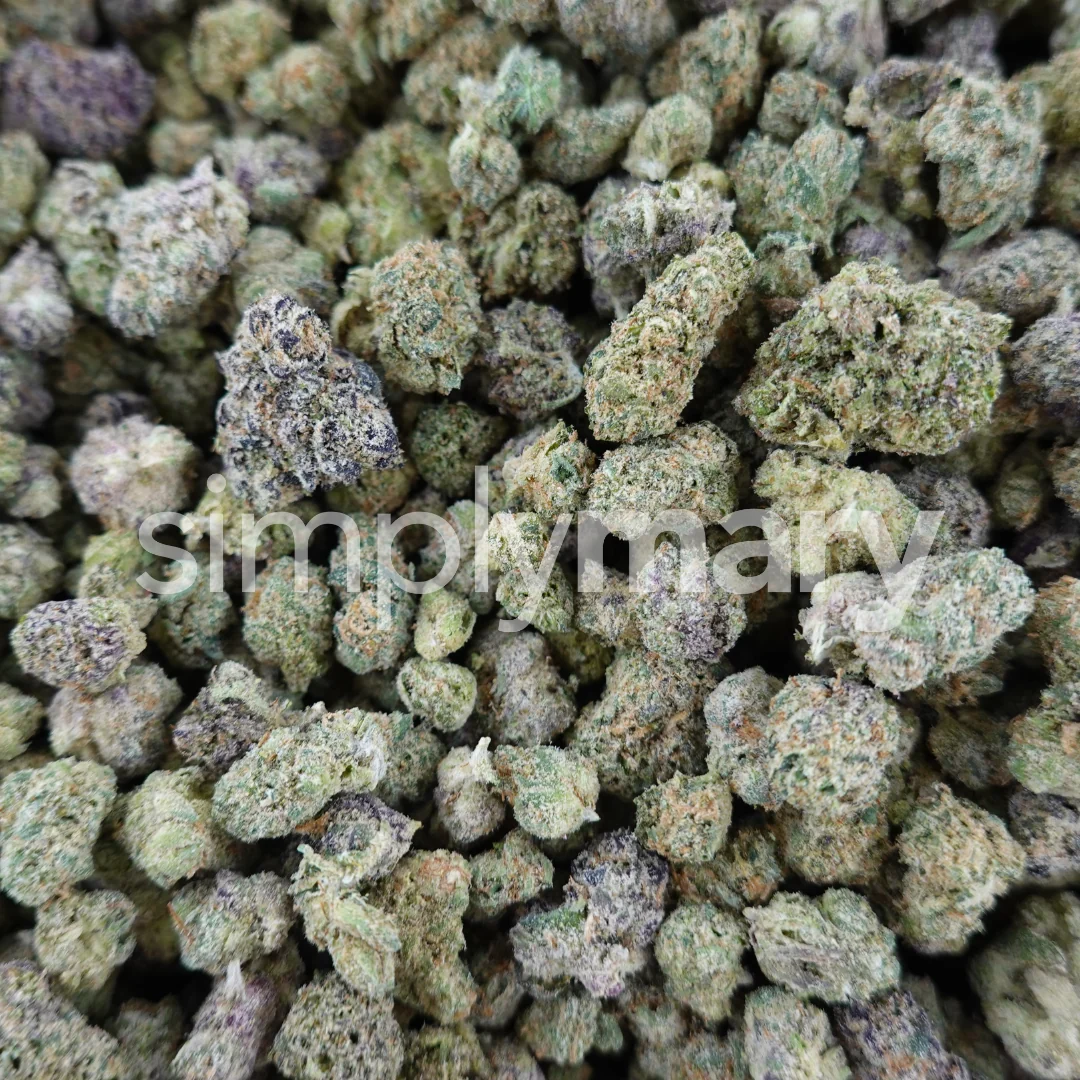Mixed Smalls - Image 3