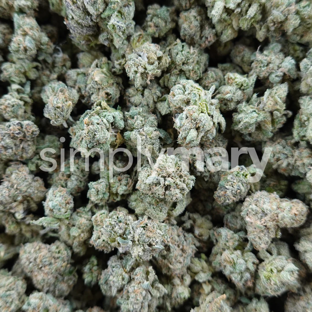 Noho Candy Smalls - Image 3