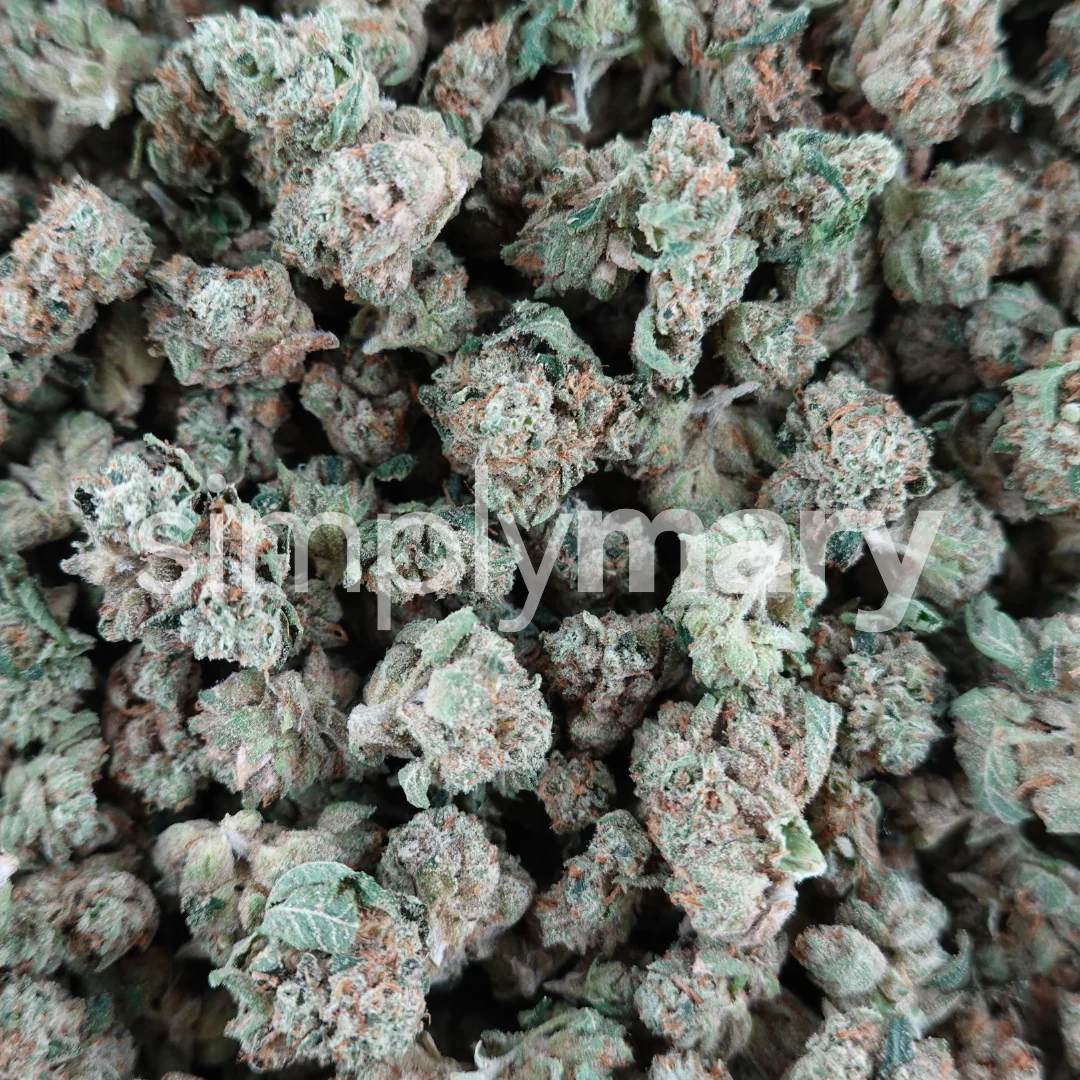 OG Cream Smalls - Image 3