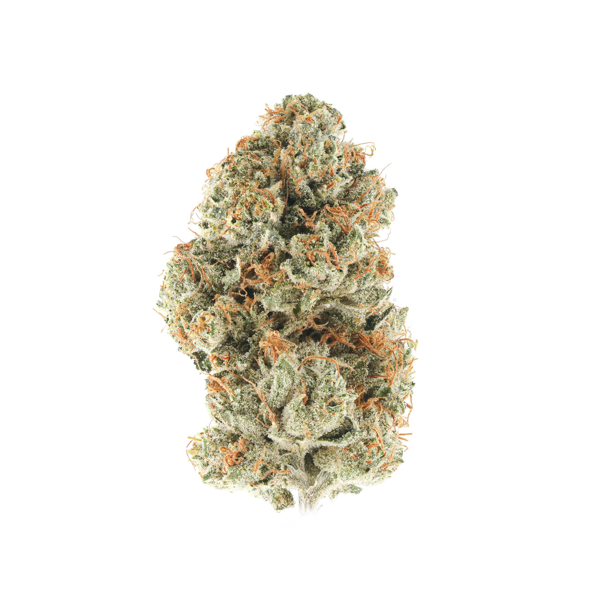 OG Kush