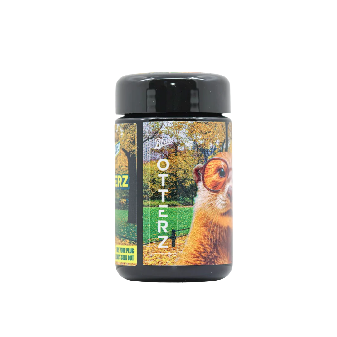 Otterz - Image 3