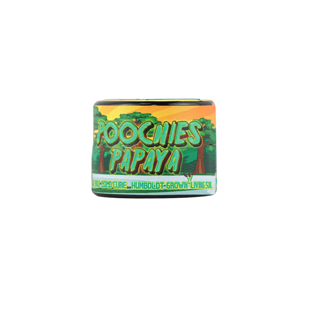 Papaya Breath Rosin - Image 3