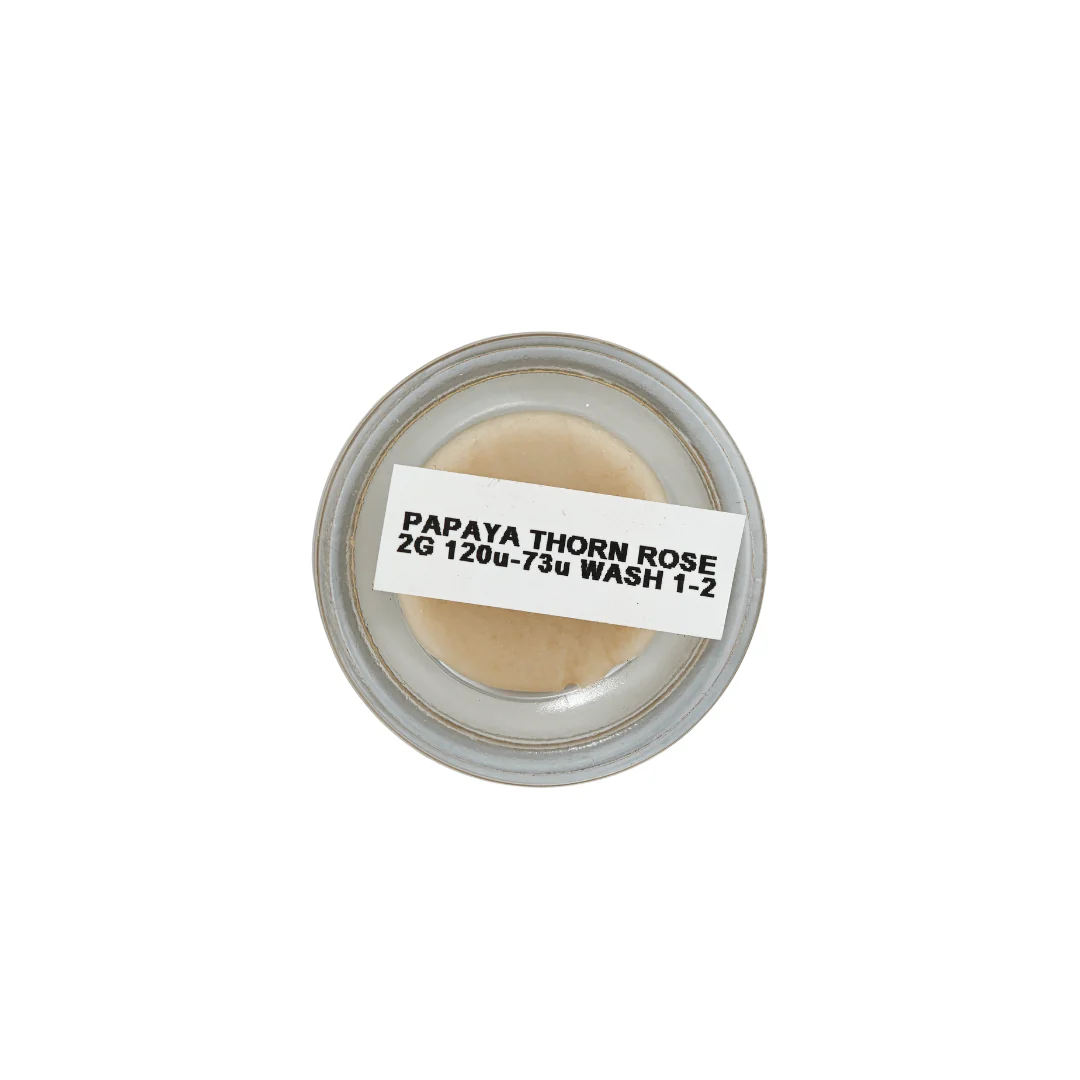 Papaya Thorn Rose Rosin - Image 3