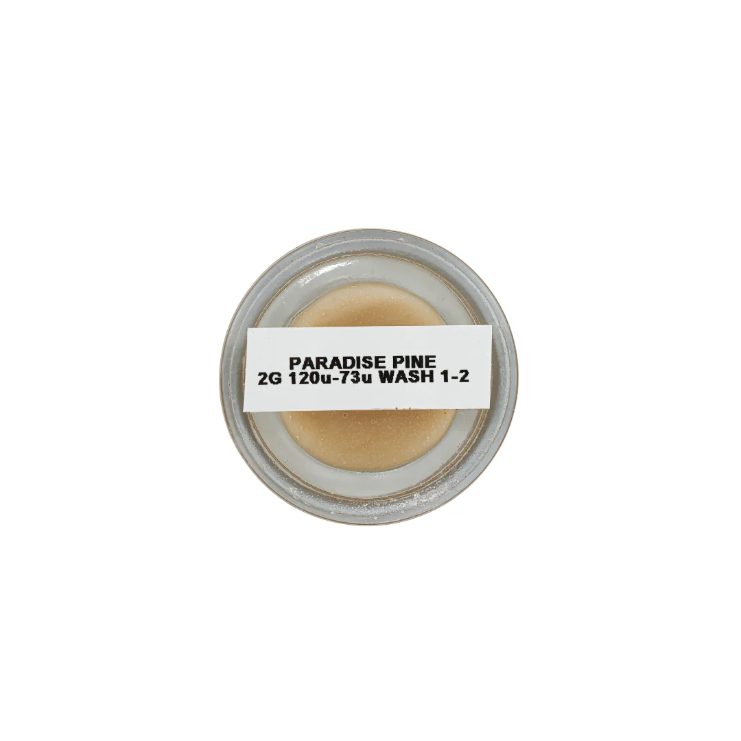 Paradise Pine Rosin - Image 3