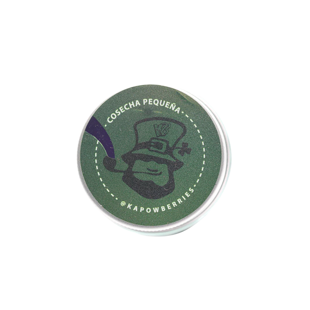 Pot Of Z - Image 3